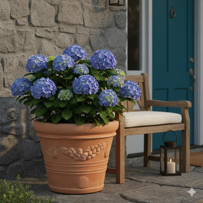 Pflanzgefäß Terrakotta "Doppio Bordo Festonato" 45cm