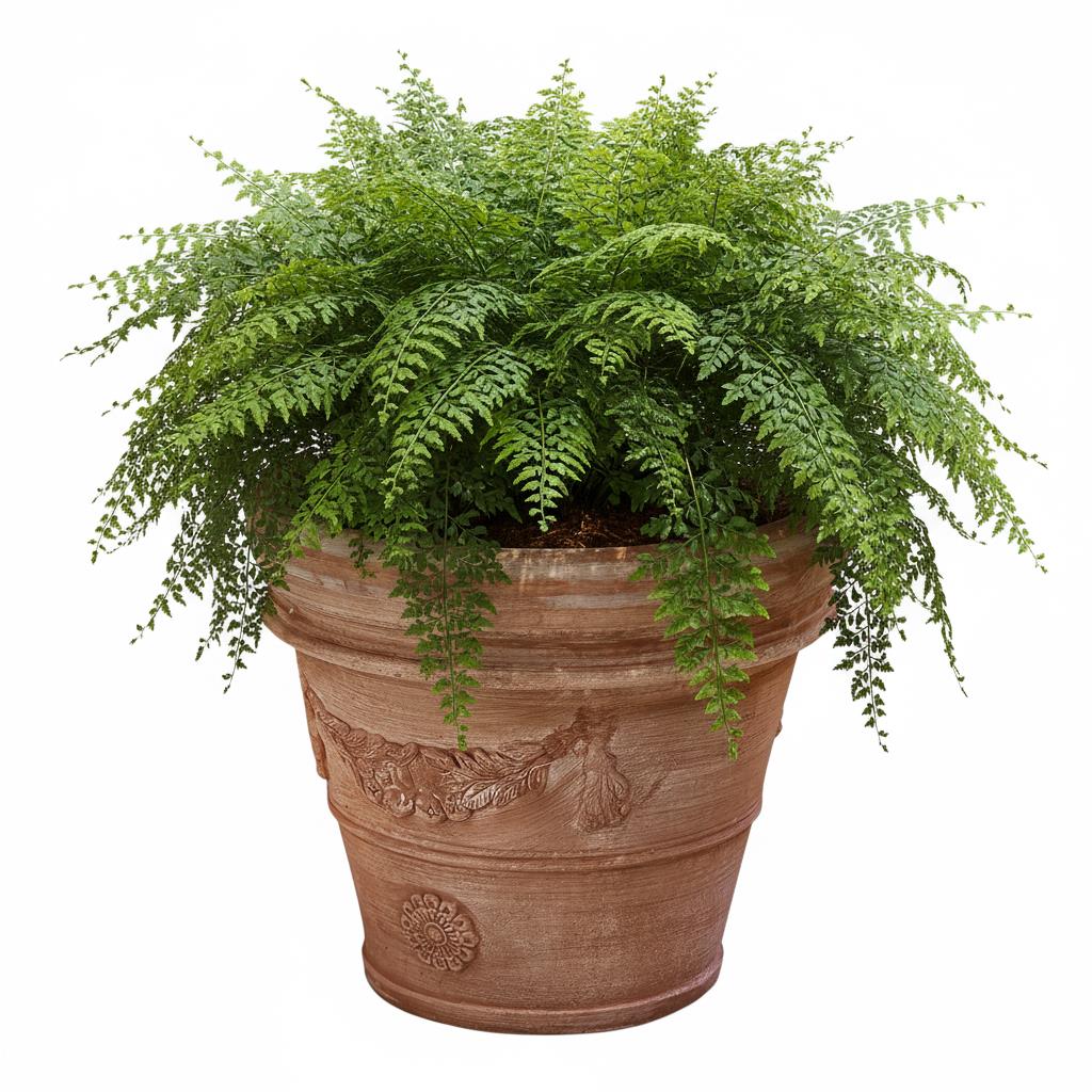 Pflanzgefäß Terrakotta "Doppio Bordo Festonato" 45cm