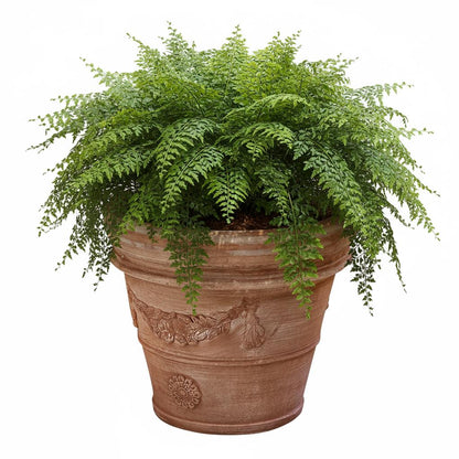 Pflanzgefäß Terrakotta "Doppio Bordo Festonato" 45cm