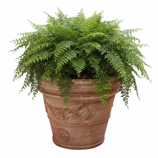 Pflanzgefäß Terrakotta "Doppio Bordo Festonato" 45cm