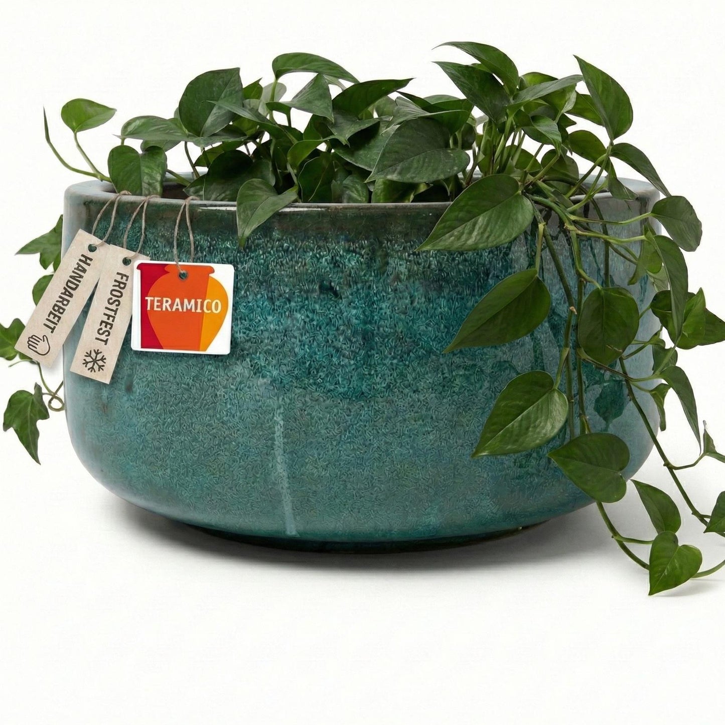 Pflanzschale "Amsterdam" Moosgrün – Ø 21 bis 38 cm – Frostfestes Steinzeug