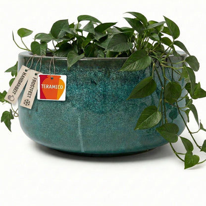 Pflanzschale "Amsterdam" Moosgrün – Ø 21 bis 38 cm – Frostfestes Steinzeug