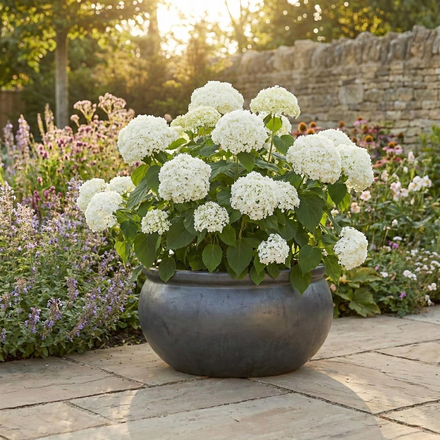 Pflanzschale flach "Anthrazit" – Ø 24, 35, 46 cm – Frostfestes Steinzeug