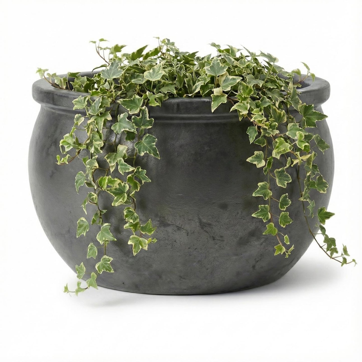Pflanzschale flach "Anthrazit" – Ø 24, 35, 46 cm – Frostfestes Steinzeug