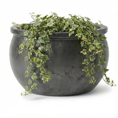 Pflanzschale flach "Anthrazit" – Ø 24, 35, 46 cm – Frostfestes Steinzeug