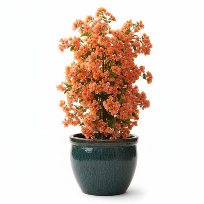 Keramik Pflanzgefäß-Serie "Bavaria Tall" Moosgrün – Wählbare Größen (21-37cm)