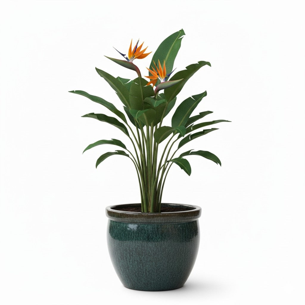 Keramik Pflanzgefäß-Serie "Bavaria Tall" Moosgrün – Wählbare Größen (21-37cm)