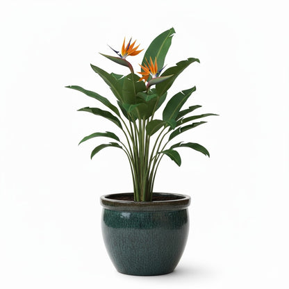 Keramik Pflanzgefäß-Serie "Bavaria Tall" Moosgrün – Wählbare Größen (21-37cm)