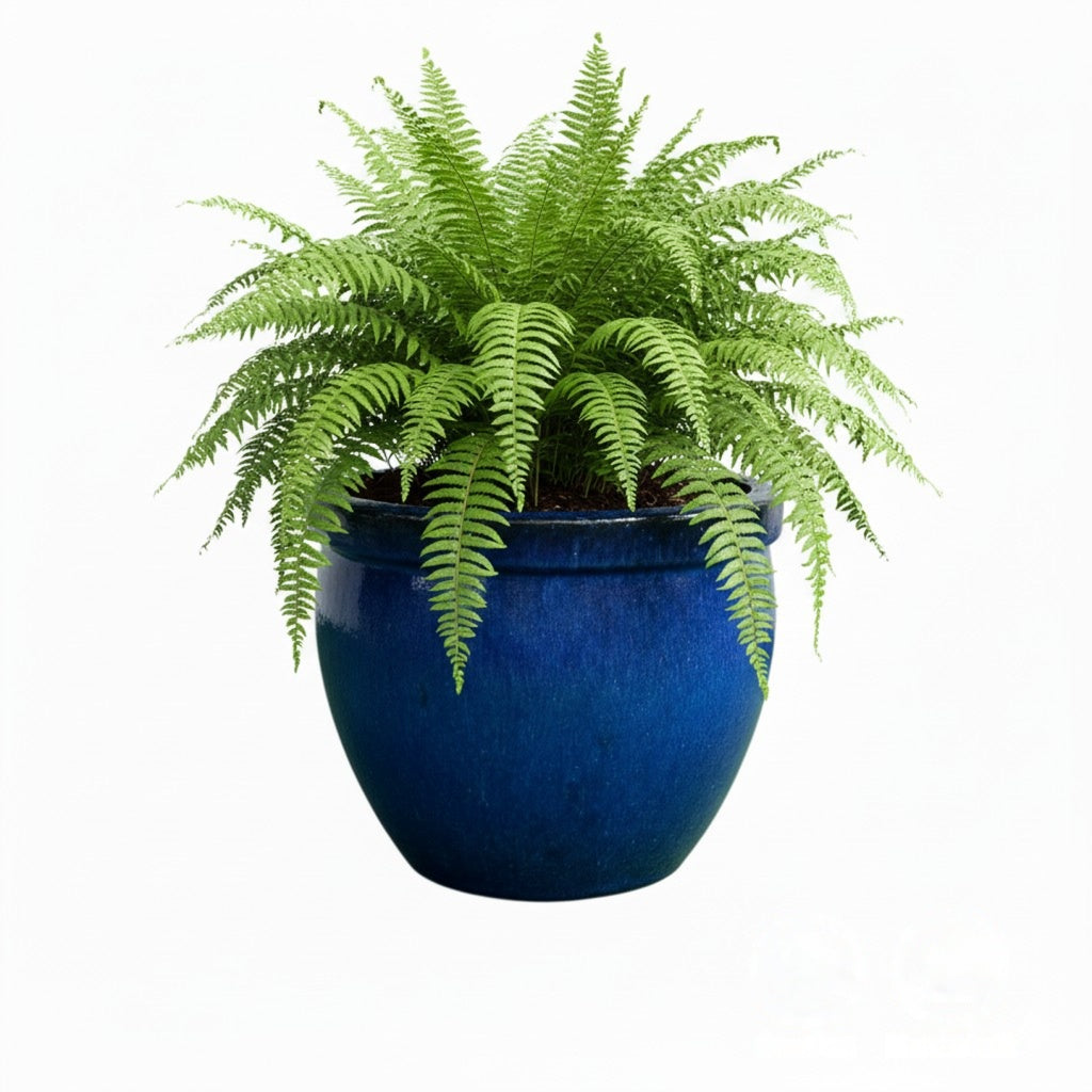 Keramik Pflanzgefäß-Serie "Bavaria Tall" Royal Blau – Wählbare Größen