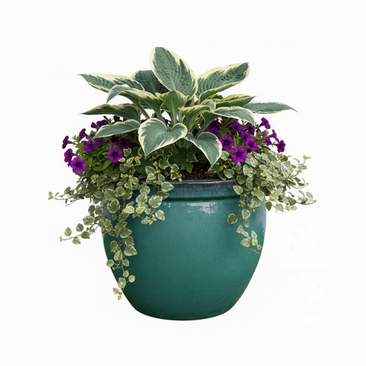 Keramik Pflanzgefäß-Serie "Bavaria Tall" Grün – Wählbare Größen