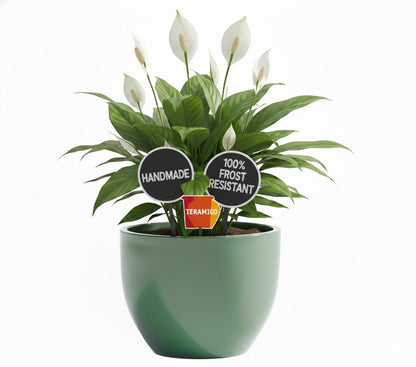 Keramik Pflanzgefäß "Egg Pot" Grün Ø 29cm – Glasiert & Frostfest