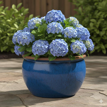 Keramik Pflanzschale "Bavaria" Royal Blau mit Rand – Wählbare Größen