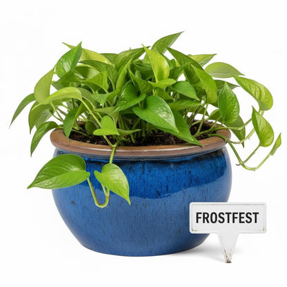 Blumentopf Pflanzgefäß Keramik Modell "Bavaria" 45cm Royal Blau