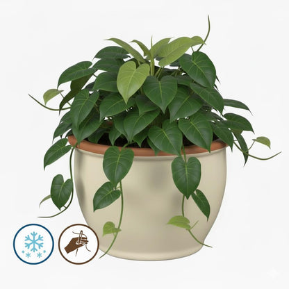 Pflanzgefäß Keramik "Roma" – Klassische Form in 3 Farben (Frostfest)