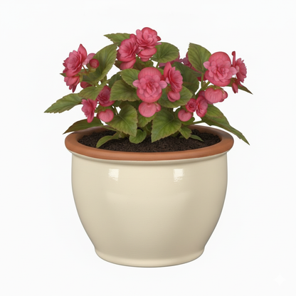 Blumentopf Pflanzgefäß aus Keramik Modell "Roma" 24cm Creme