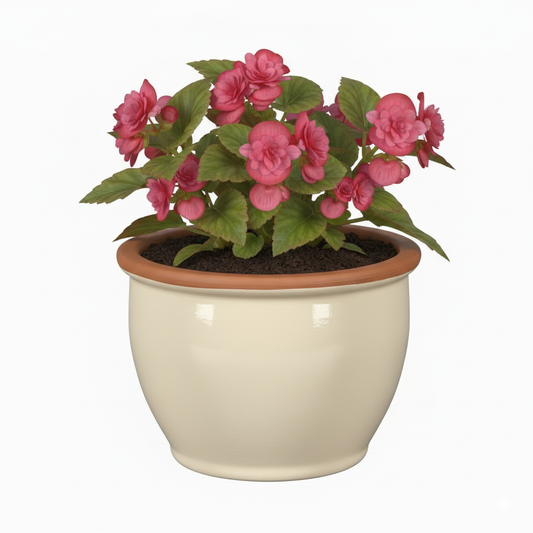 Blumentopf Pflanzgefäß aus Keramik Modell "Roma" 24cm Creme