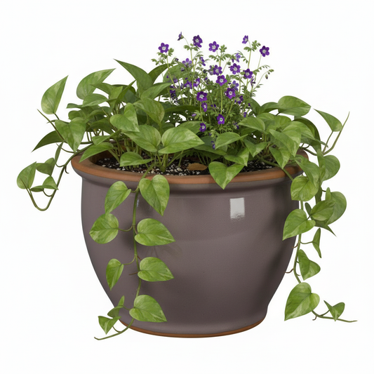 Blumentopf Pflanzgefäß aus Keramik Modell "Roma" 18cm Lavendel
