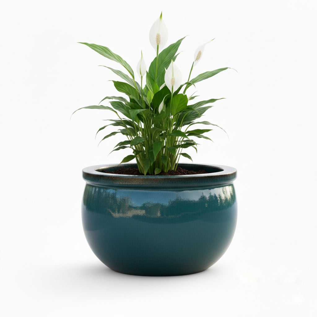 Pflanzgefäß Keramik "Bavaria" Grün