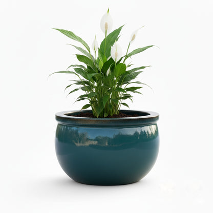 Pflanzgefäß Keramik "Bavaria" Grün