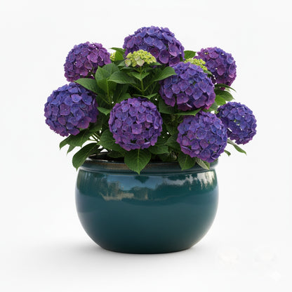 Pflanzgefäß Keramik "Bavaria" Grün