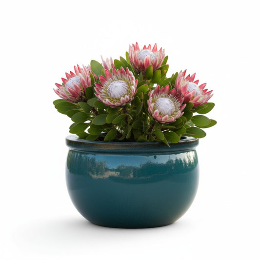 Keramik Pflanzschale "Bavaria" Jade-Grün – Wählbare Größen (30-52cm)