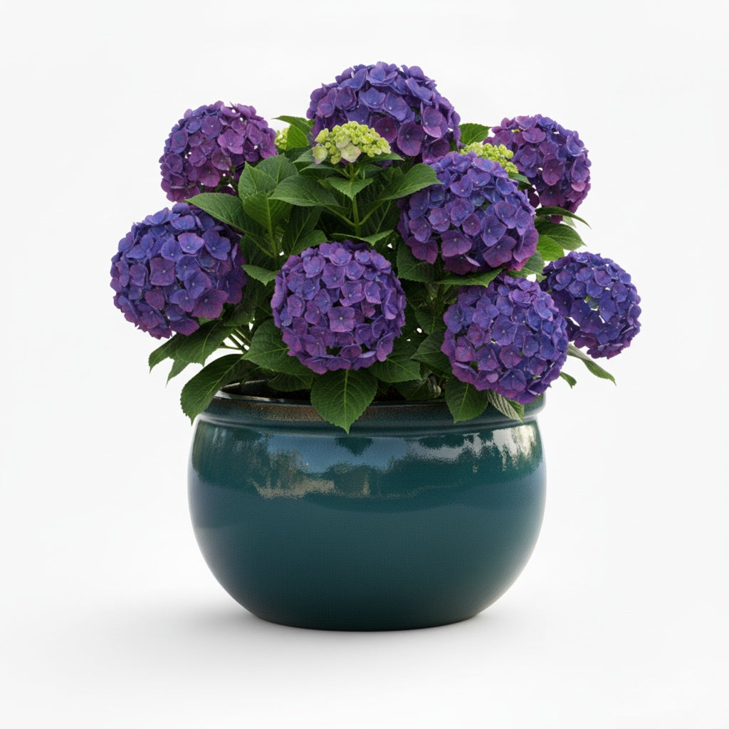 Keramik Pflanzschale "Bavaria" Jade-Grün – Wählbare Größen (30-52cm)