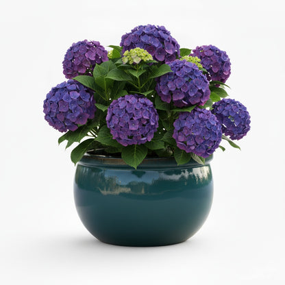 Keramik Pflanzschale "Bavaria" Jade-Grün – Wählbare Größen (30-52cm)