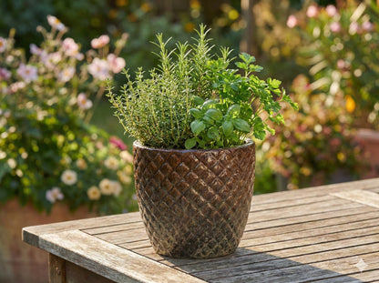 Keramik Pflanzgefäß "Bubble" Braun – Ø 38cm