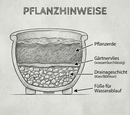 2er Set XXL Pflanzschale 49cm Grün Keramik Steinzeug winterhart
