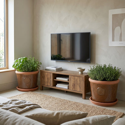 Teramico Pflanzgefäß-Set Provence Braun mit Terracotta-Teller