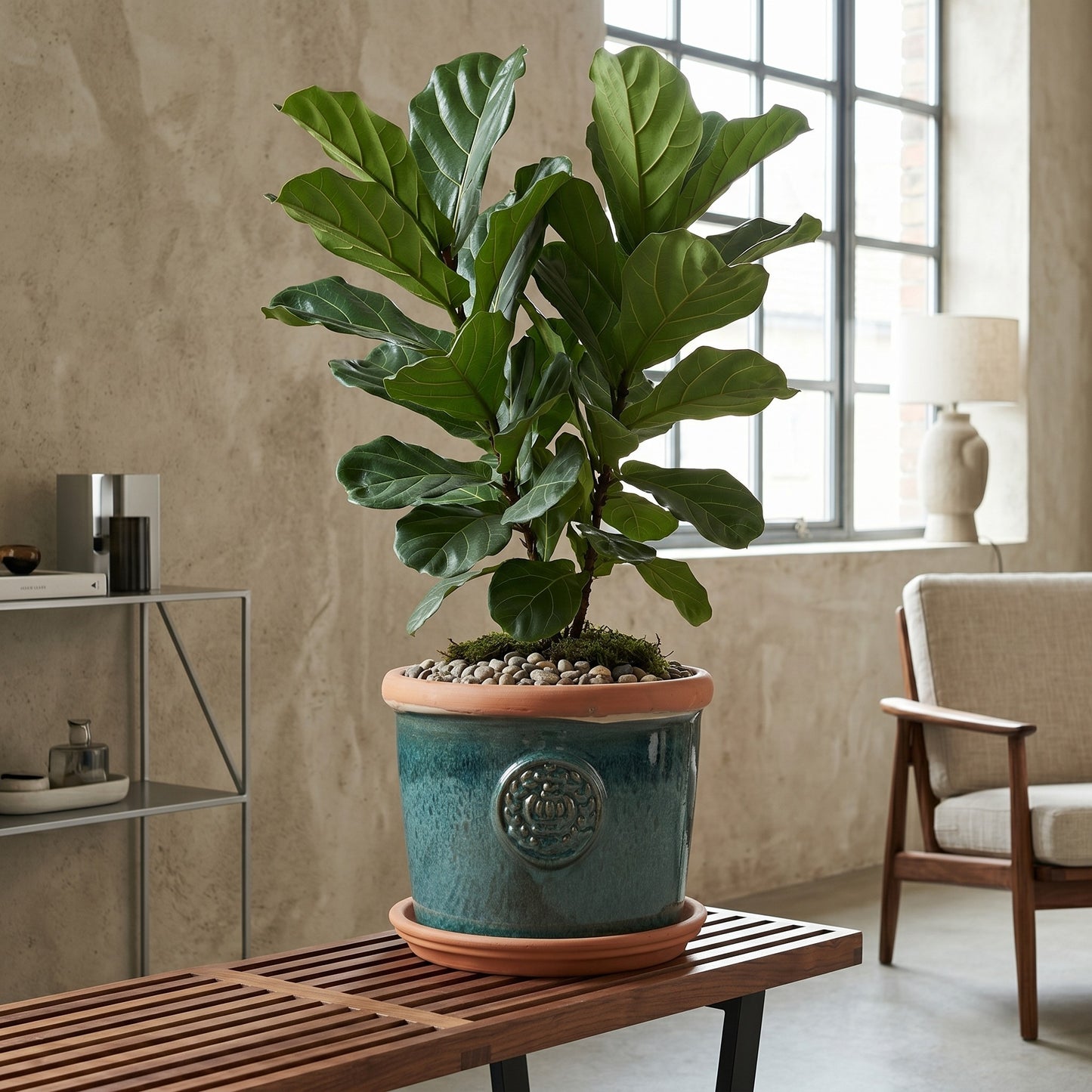 Teramico Pflanzgefäß-Set Provence Moosgrün mit Krone-Motiv & Terracotta-Teller