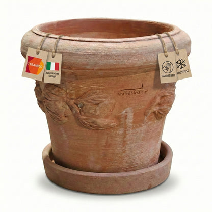 Terrakotta Topf Limone mit Teller 26cm Zitronen
