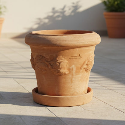Terrakotta Topf Limone mit Teller 26cm Zitronen