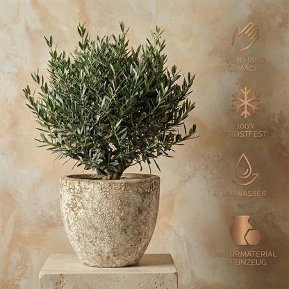 Pflanzgefäß "Egg Pot" Lava Weiß – Ø 21 bis 38 cm – Geschliffene Struktur