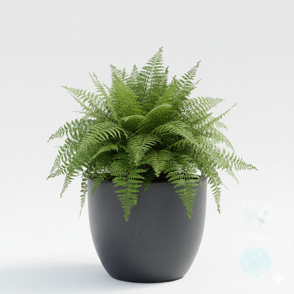 Keramik Pflanzgefäß "Egg Pot" Anthrazit – Wählbare Größen (21-48cm)