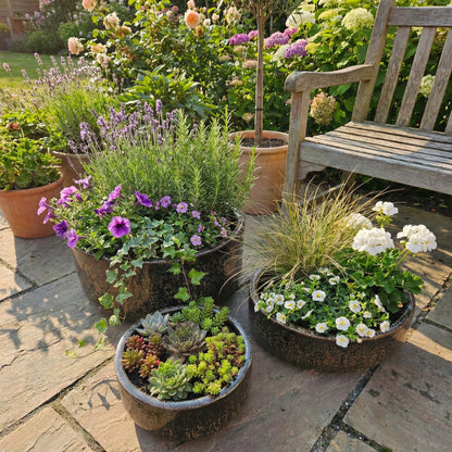 Handgefertigte frostfeste Keramik Pflanzschalen in verschiedenen Größen in der Farbe Falling Braun mit Plfanzen auf Tisch