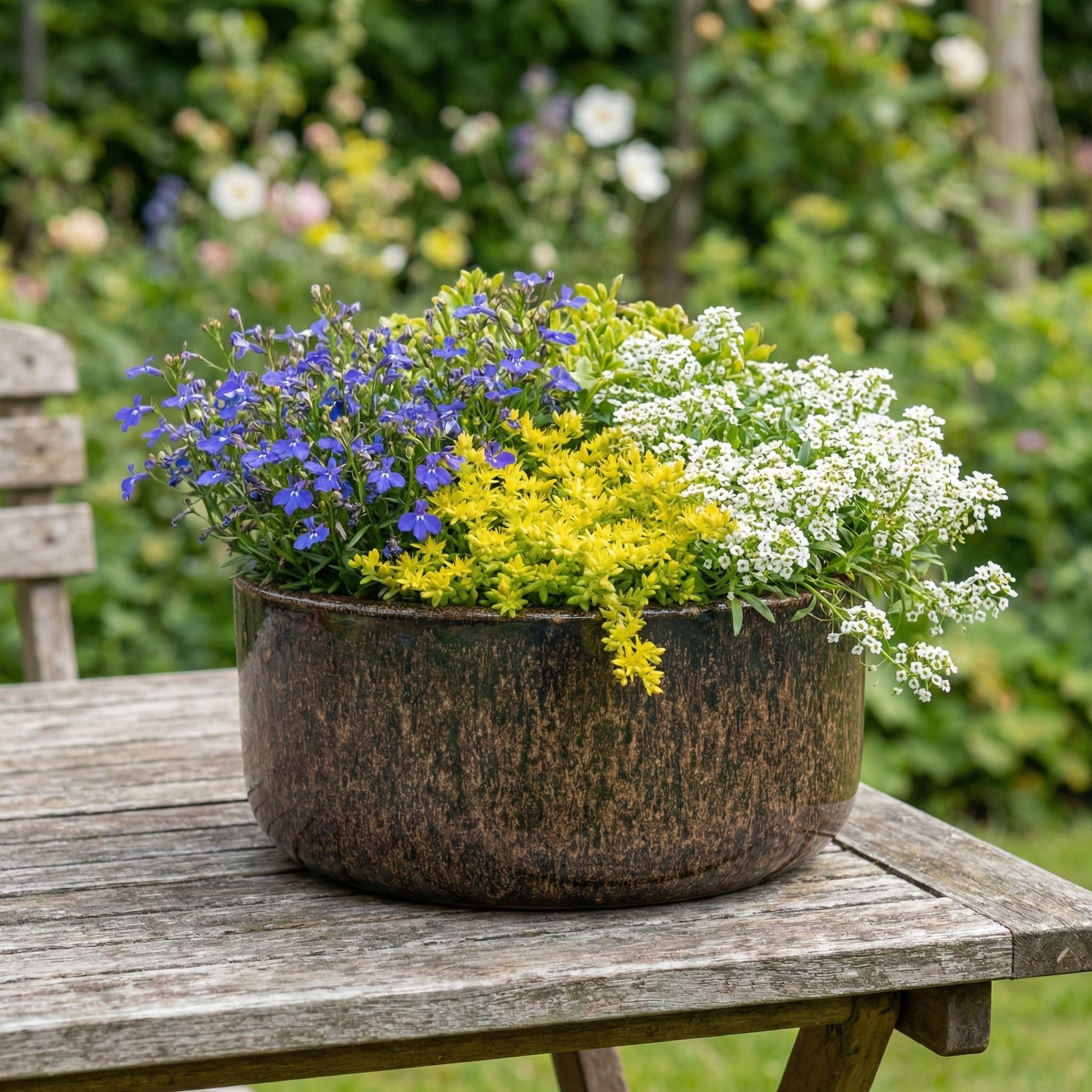 Handgefertigte frostfeste Keramik Pflanzschalen in verschiedenen Größen in der Farbe Falling Braun mit Plfanzen auf Tisch