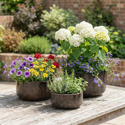 Handgefertigte frostfeste Keramik Pflanzschalen in verschiedenen Größen in der Farbe Falling Braun mit Plfanzen auf Tisch