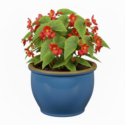 Blumentopf Pflanzgefäß aus Keramik Modell "Roma" 30cm Soft Blau