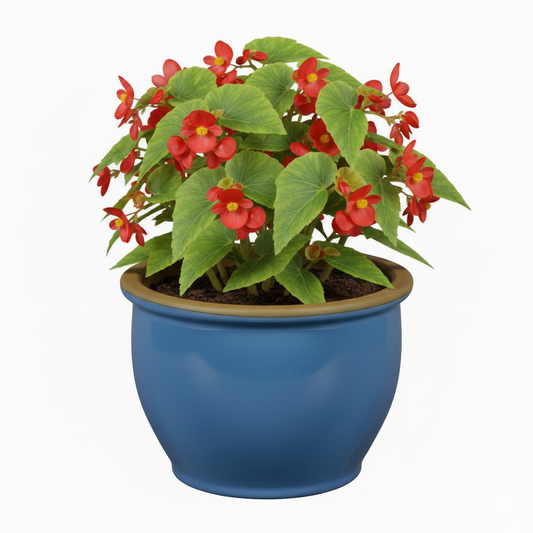 Blumentopf Pflanzgefäß aus Keramik Modell "Roma" 30cm Soft Blau