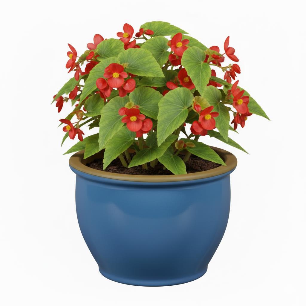 Pflanzgefäß Keramik "Roma" – Klassische Form in 3 Farben (Frostfest)