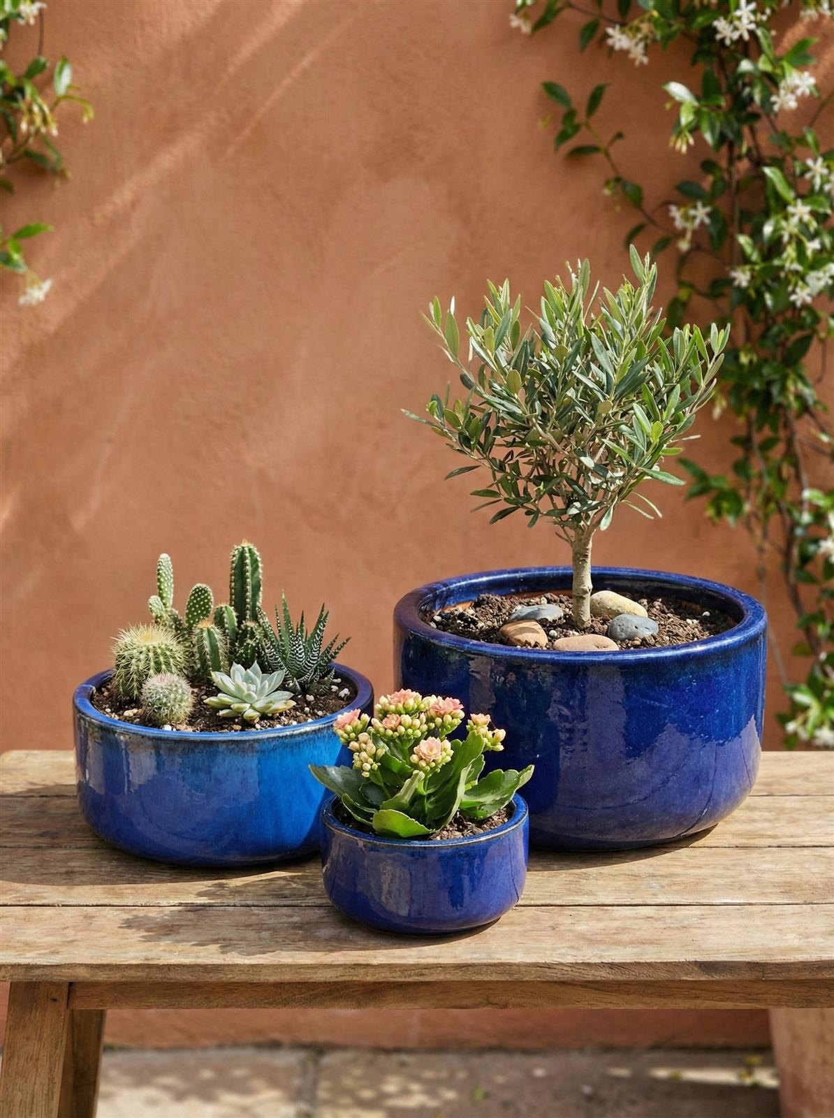 Blaue Keramikschale Royal bepflanzt auf Gartentisch