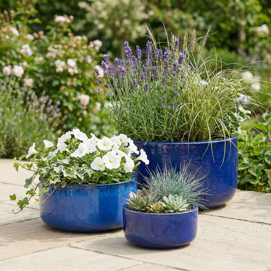 Pflanzgefäß Schale "Amsterdam" Royal Blau Ø 21 - 38 cm Frostfest