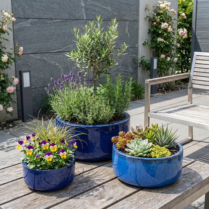 Pflanzschale "Amsterdam" Royal Blau – Ø 21 bis 38 cm – Glasiertes Steinzeug