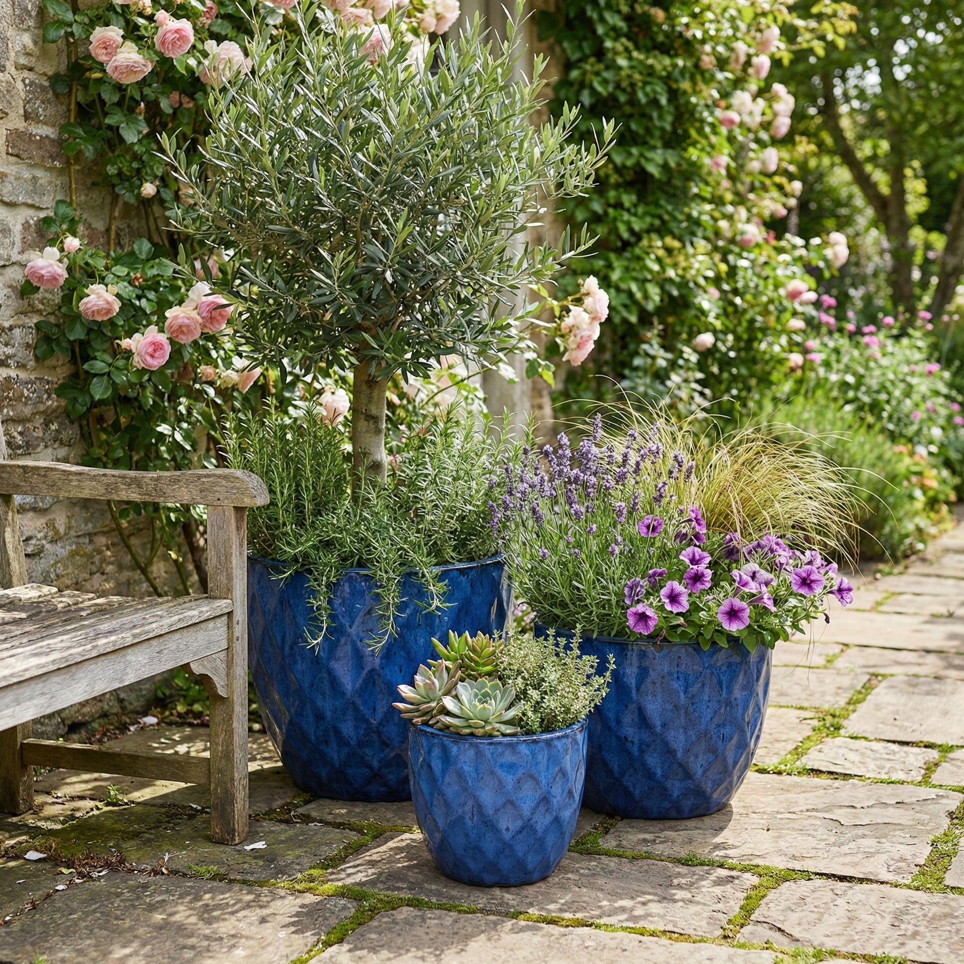 keramik blumentopf blau glaisert bepflanzt
