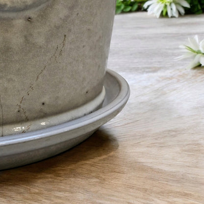 Pflanzteller Untersetzer für Blumentöpfe 42cm Grau-Weiß Vogeltränke