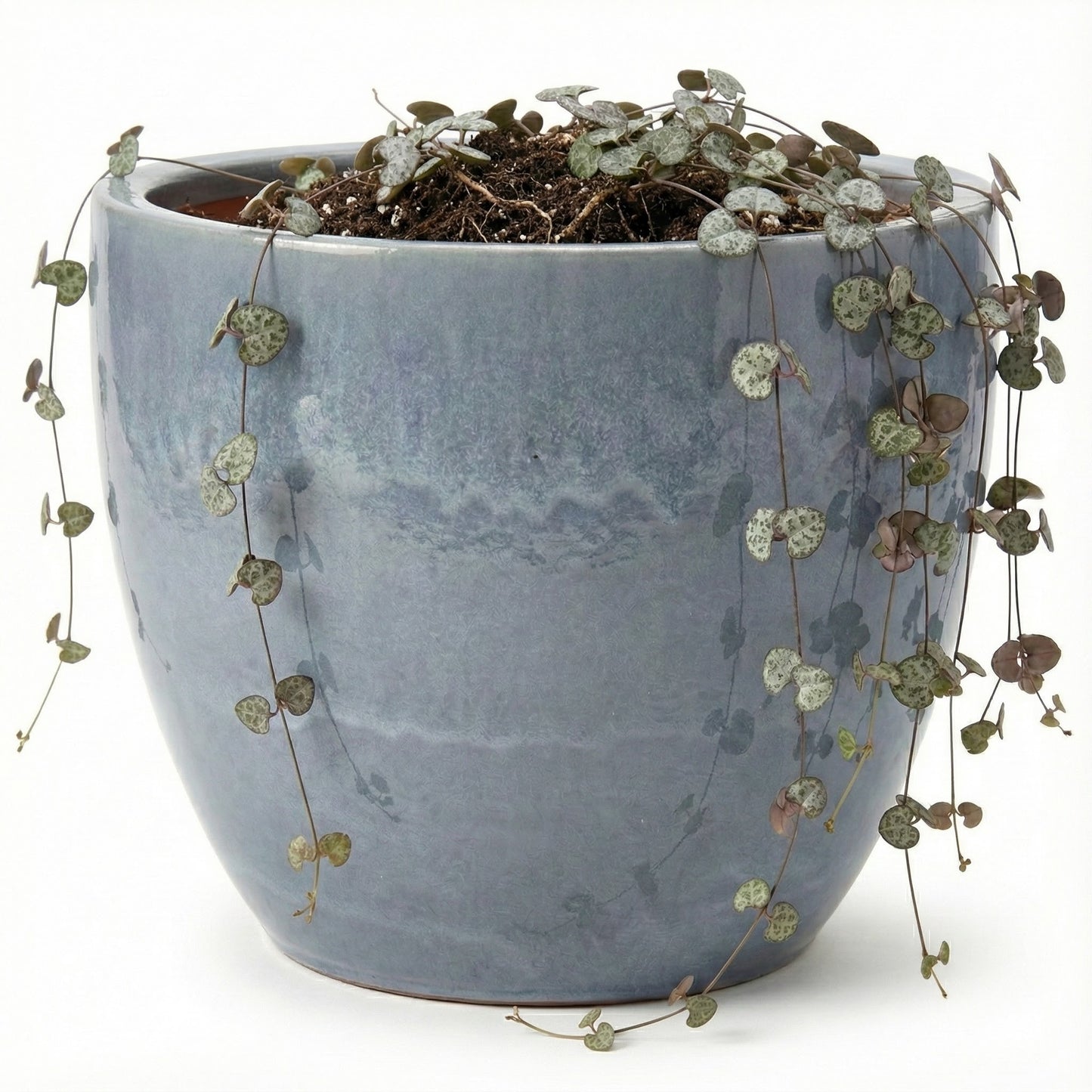 4er-Set Egg Pot Antikgrau Hell – Keramik Ø 48 cm frostfest