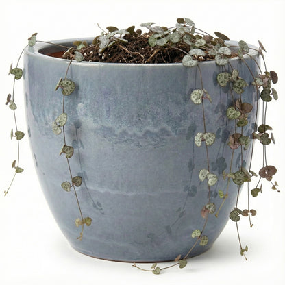 4er-Set Egg Pot Antikgrau Hell – Keramik Ø 48 cm frostfest
