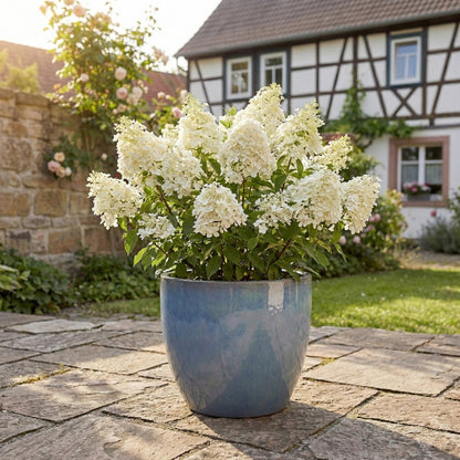 4er-Set Egg Pot Antikgrau Hell – Keramik Ø 48 cm frostfest