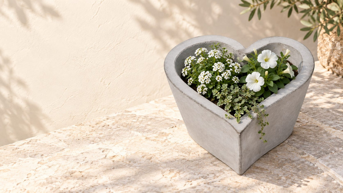 Herzförmiger Beton-Pflanztopf mit weißen Blüten auf Naturstein
